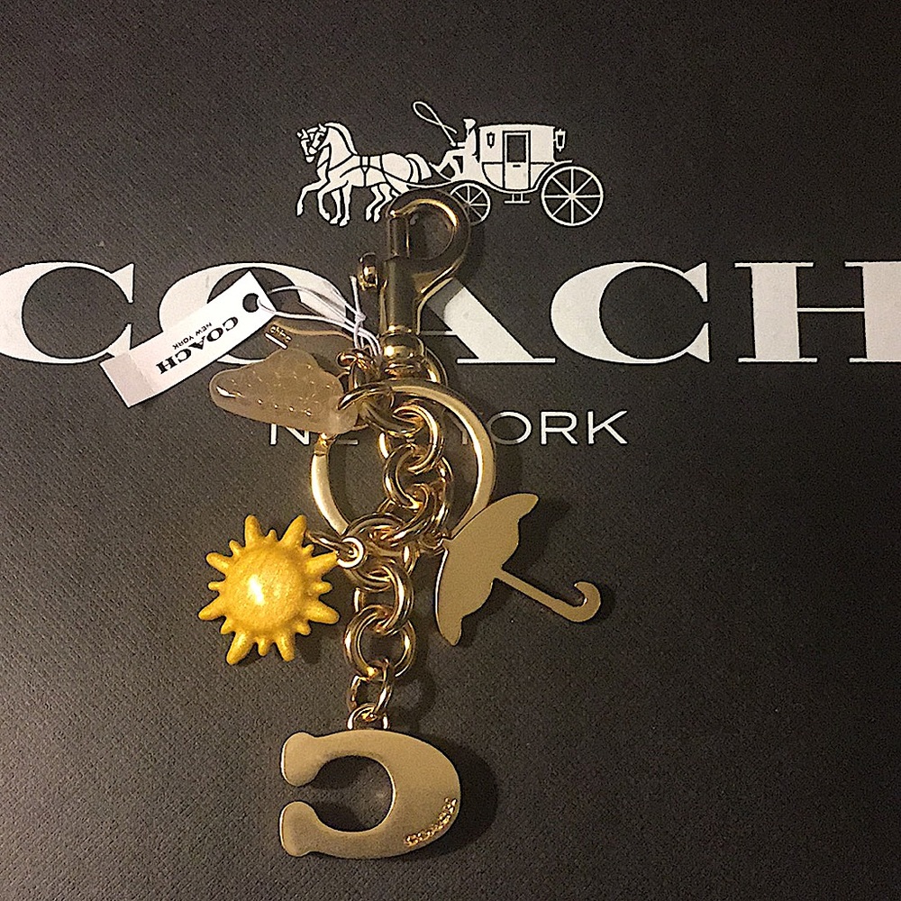 COACH - RAINBOW MIXED CHARMS BAG CHARM / KEYCHAIN - Picture 5 of 11